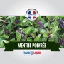 E-liquide Menthe Poivrée 10ml