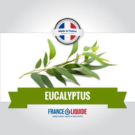 e-liquide  Eucalyptus