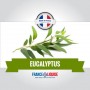 e-liquide saveur Eucalyptus