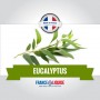 E-liquide Eucalyptus 10ml