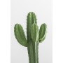e-liquide cactus
